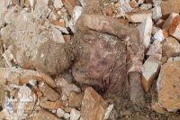 کشف جسد مومیایی پهلوی اول
