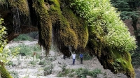 آبشار باران کوه گلستان