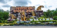 باغ وحش ببرها در پاتایا تایلند