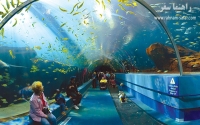 دنیای زیرآب (Underwater World) پاتایا در تایلند