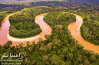 جنگل آمازون | Amazon Jungle