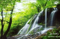 جنگل و آبشار بولا در مازندران