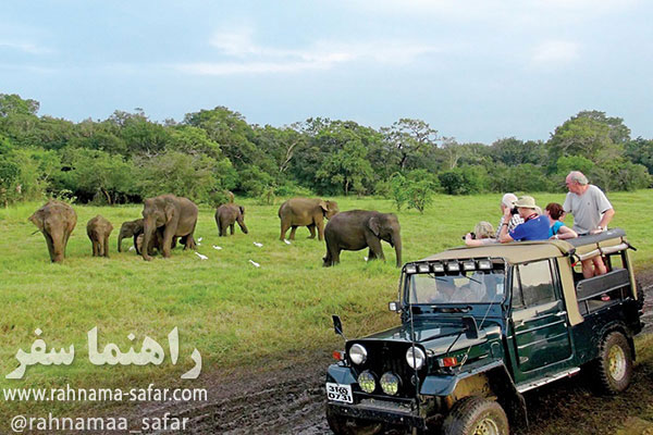 سافاری چیست (Safari)؟ 