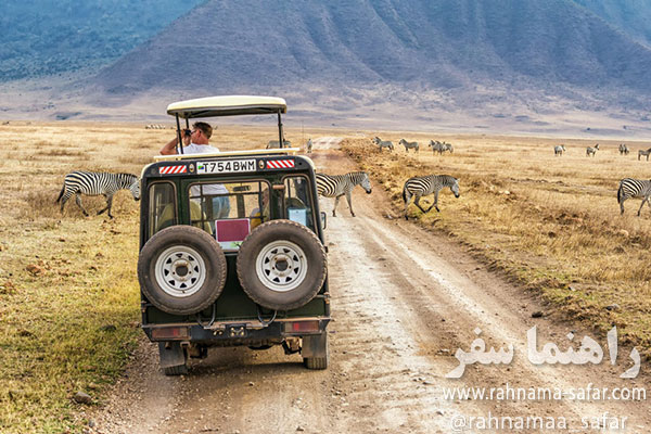 سافاری چیست (Safari)؟ 