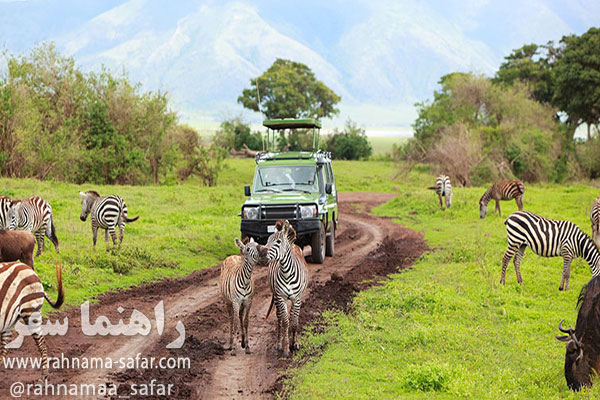 سافاری چیست (Safari)؟ 