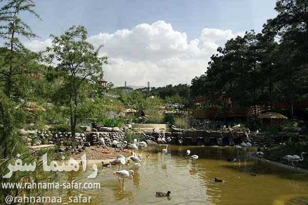 باغ پرندگان تهران