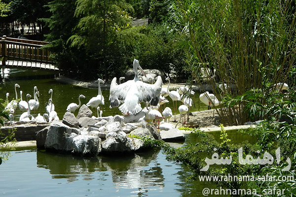باغ پرندگان تهران