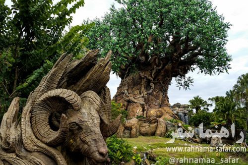 درخت زندگی در دیزنی لند | جاذبه های گردشگری آمریکا