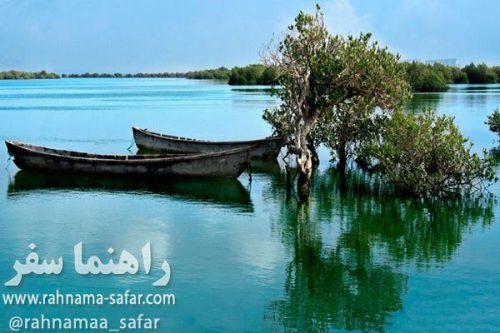 جنگل های دریایی حرا در قشم